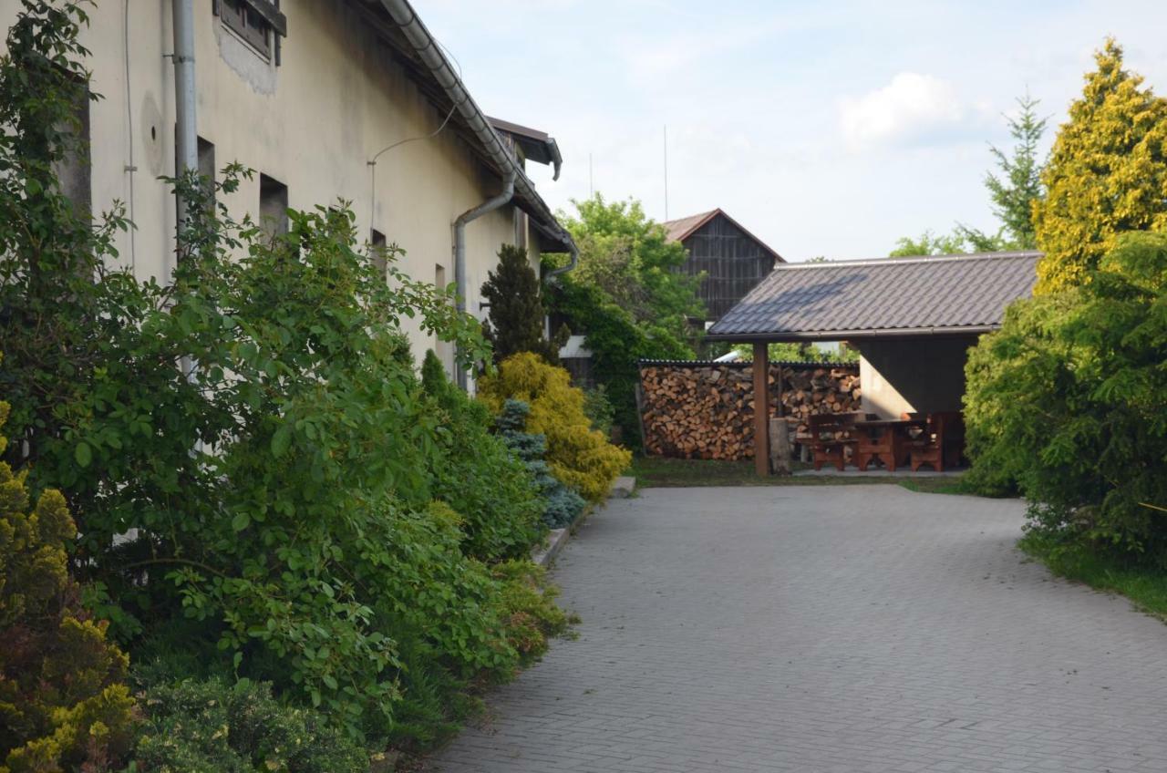 penzion U Koníčka Straziste  Exterior foto